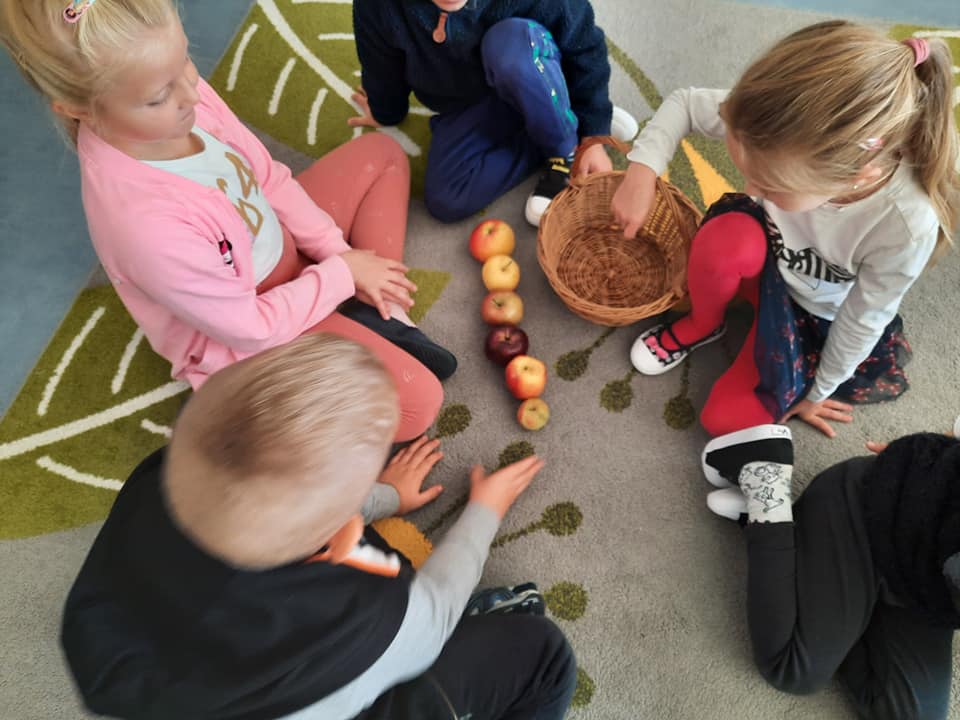 Matematyka i kiszenie ogórków u Meduz