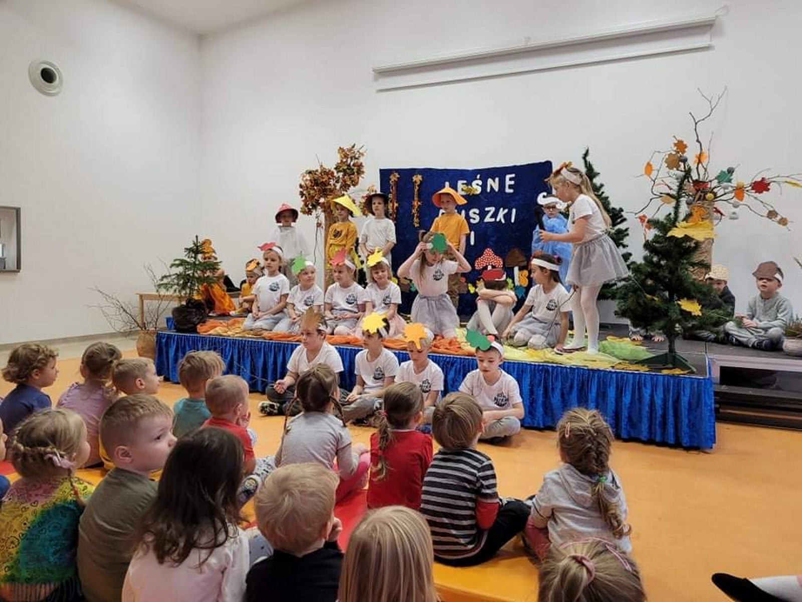 Tydzień przygotowań u Muszelek