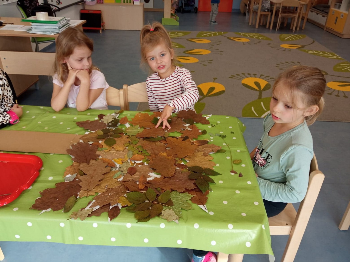 Jesienny spacer Meduz po lesie i parku