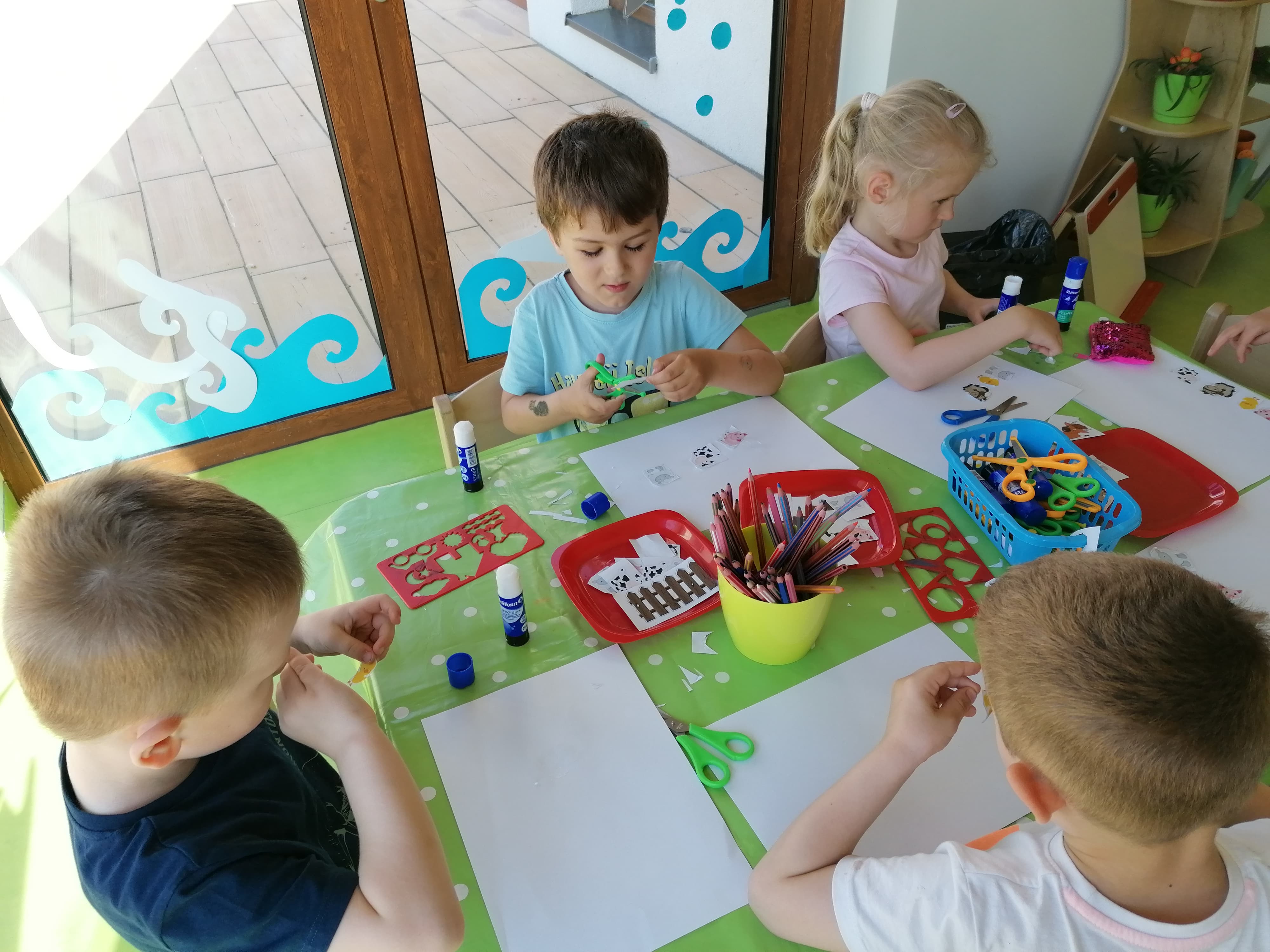 Delfinki poznają wiejskie zwierzęta