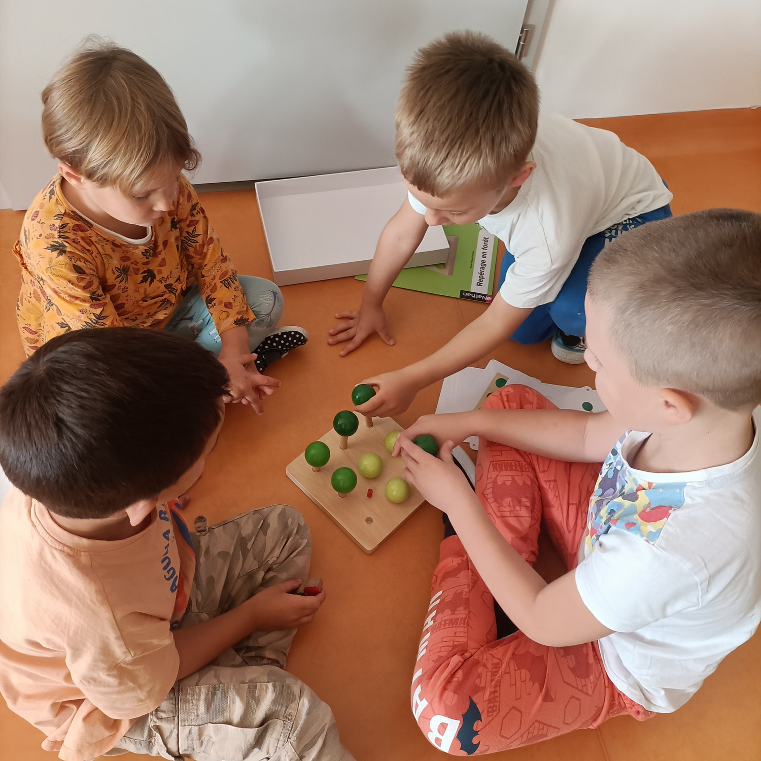 Projekt drzewo u Welonków