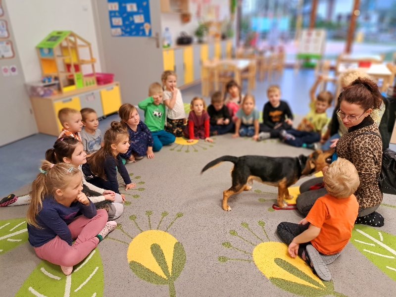 PROJEKT "ZWIERZĘTA DOMOWE" U MEDUZ