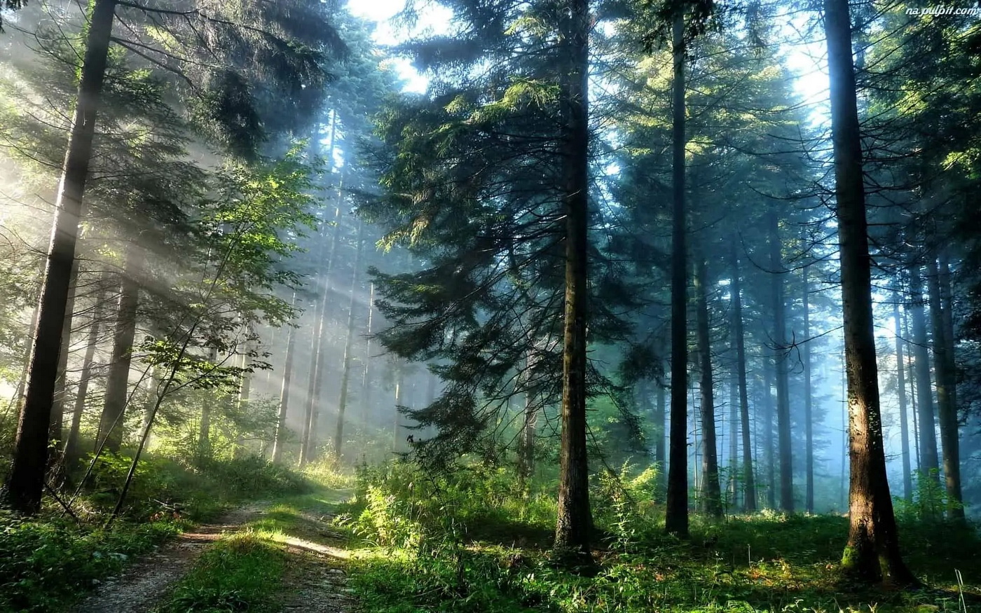 WYCIECZKA DO SARBII